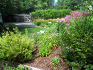 Landscape Design, Fairfax